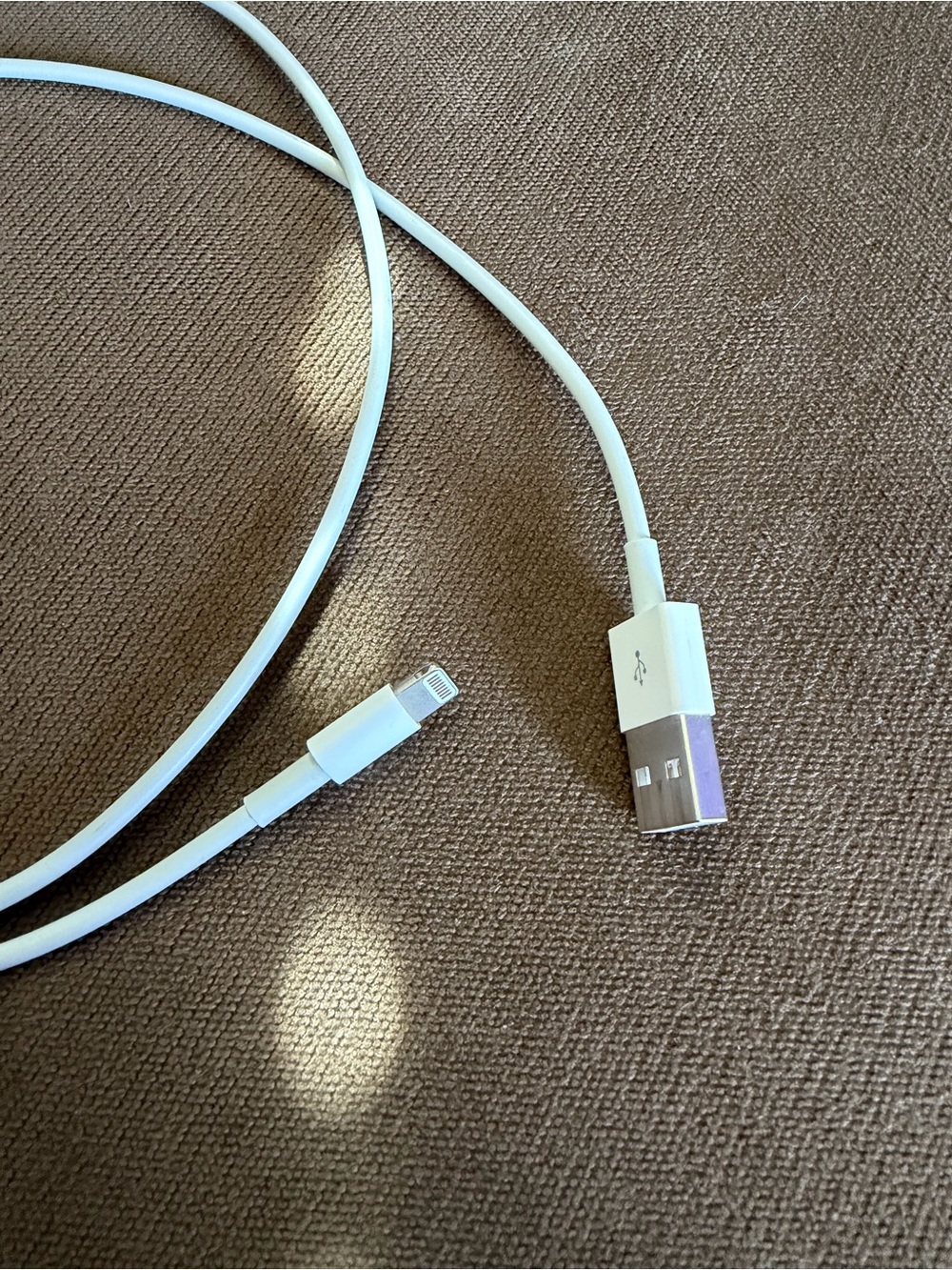 Apple White Lightning to USB Cable